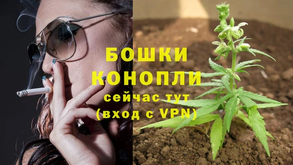 каннабис Корсаков