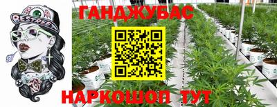 дживик Гай