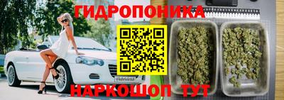дживик Гай