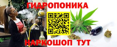 дживик Гай