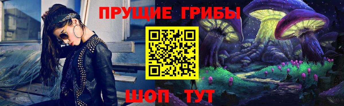 Курчалой  Псилоцибиновые грибы мухоморы  Вход с VPN 