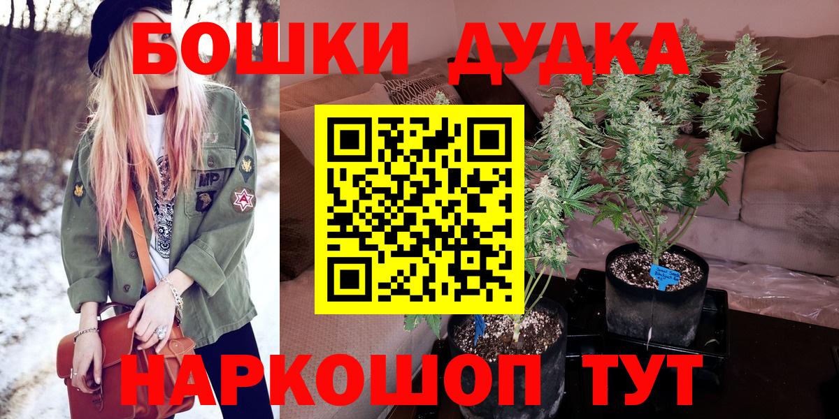 Бошки марихуана OG Kush Курчалой
